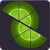 Slices Fruits icon
