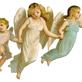 Angel Wallpapers icon