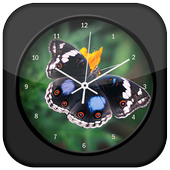 Butterfly Clock Live Wallpaper icon