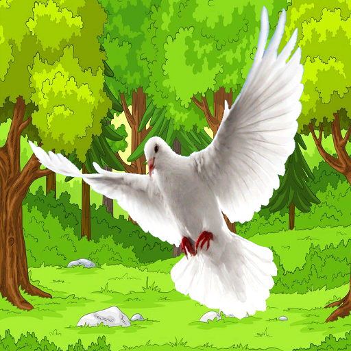 wild pigeon bird simulator आइकन