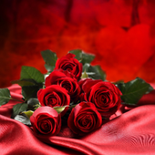 3D True Love Red Rose Themes Wallpapers icon