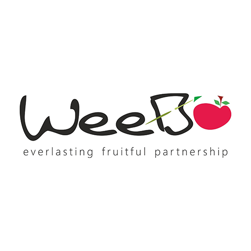 Weebo Networks Pvt. Ltd. icon