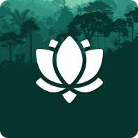 Daily Affirmations - Free Positive Affirmations