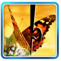 Butterfly Jigsaw Puzzle 02