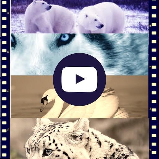 Documentaires Animaux Gratuit en ligne icon