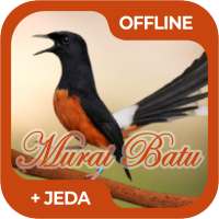 Masteran Murai Batu Medan on 9Apps