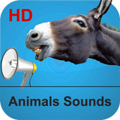 Animals Calls and Sounds - HD Pictures and Sounds icon