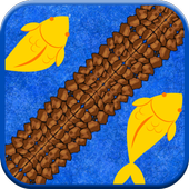 2 Fish Rally Race Game icon