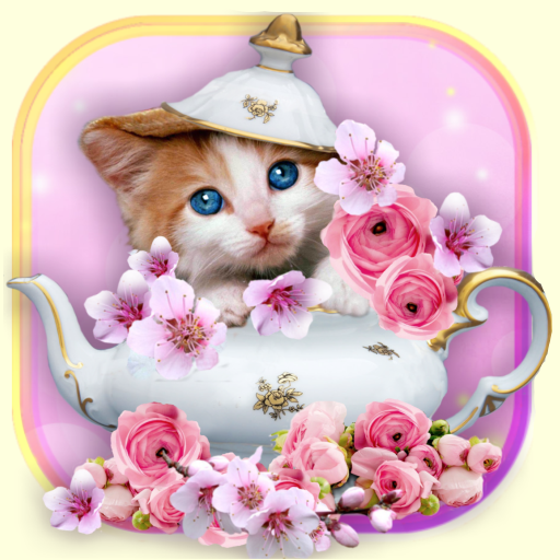 Cats Voice live wallpaper icon