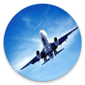 Flight Awareness track icon