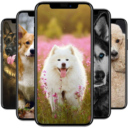 Dog Wallpaper أيقونة