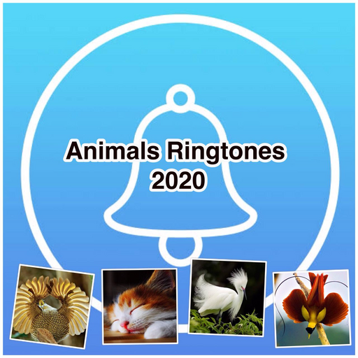 Animals Ringtones 2020 icon