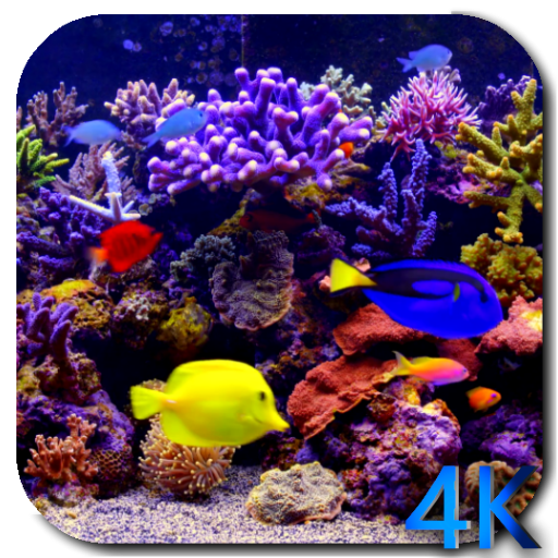 Aquarium 4K Video Wallpaper icon