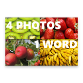 4 photos 1 word icon