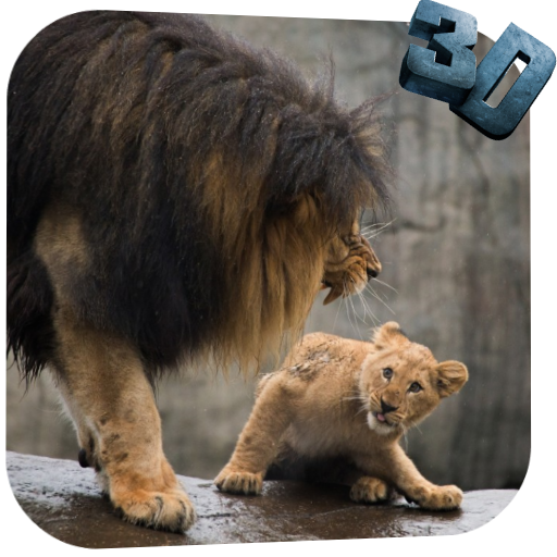 Лев Видео живые обои иконка