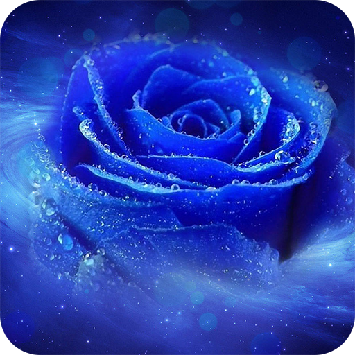 Blue Rose Wallpaper icon