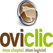 Ovitel Web icon