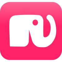 5Phants -Your social gaming platform