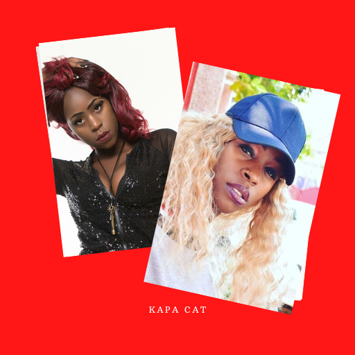 Kapa Cat App -Live chat, music and more icon