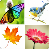 Simple Collage أيقونة