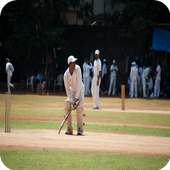 Cricket Wallpapers HD