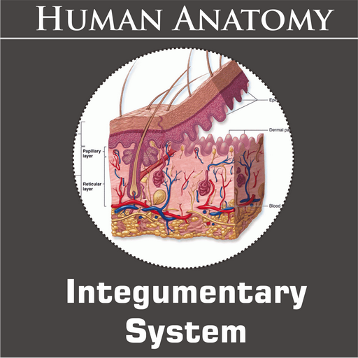 Integumentary System icon