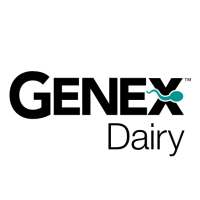 Bull Search on 9Apps