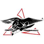 Streetfighting Training