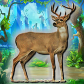 Deer Hunt icon