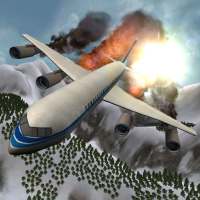 Flight Simulator Snow Plane 3D