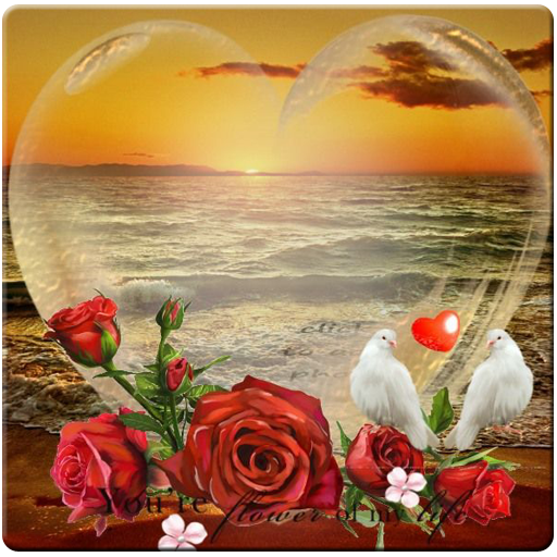 Love Photo Frames icon