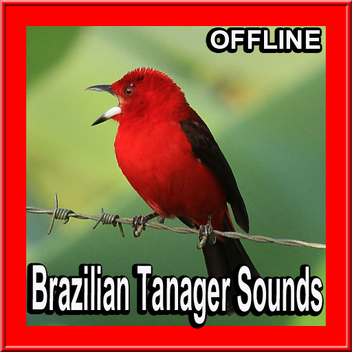 Brazilian Tanager Bird Sounds icon