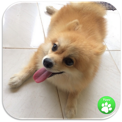 สายพันธุ์สุนัขเกม icon