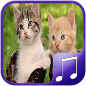 Cat Sounds – Cat Noises App icon