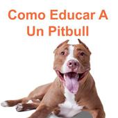 Como educar a un perro pitbull आइकन