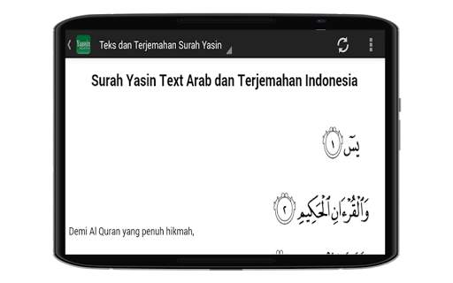 Surat Yasin Mp3 Download screenshot 2