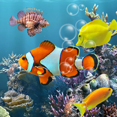 Fish Aquarium Free icon