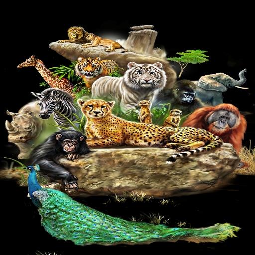 Animal Sounds &amp; information icon