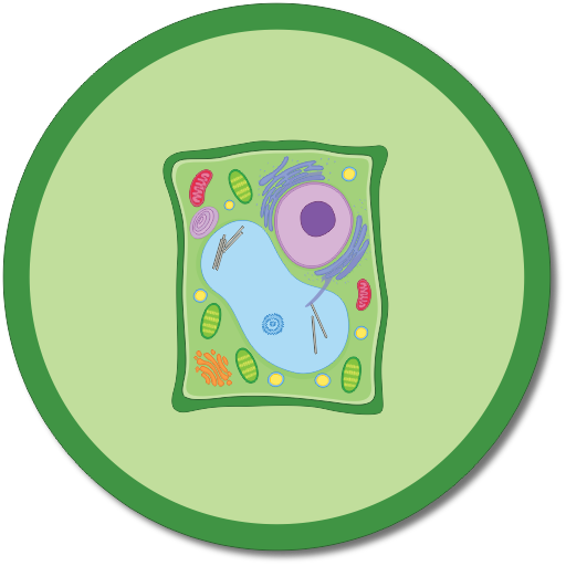 ikon Plant Cell