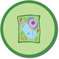 Plant Cell on 9Apps