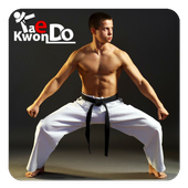 Taekwondo icon