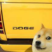 Doge Brick Game on 9Apps