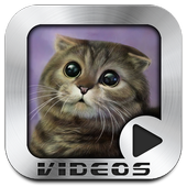 Funny Cats Video Collection आइकन