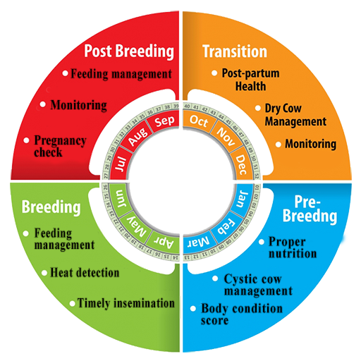 BLRI Breeding Manager icon