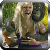 😍😀😆😄 Funny Videos 😄😆😀😍 icon