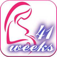 Pregnancy Development