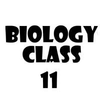 Biology Class 11 on 9Apps