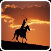 Info.Red Dead Redemption 2 icon