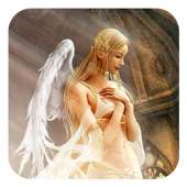 Beautiful Angel Wing Theme on 9Apps