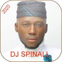 dj spinall 2020 -best songs- on 9Apps
